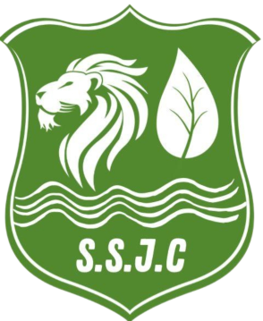Logo saint seurin junior club